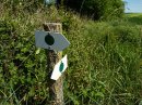 Toujours les ronds verts
